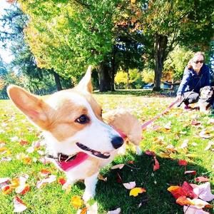 Meet your Posher, Candyce